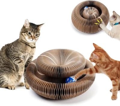 MeowMagic™ - Kratzspielzeug für Katzen (50% RABATT)