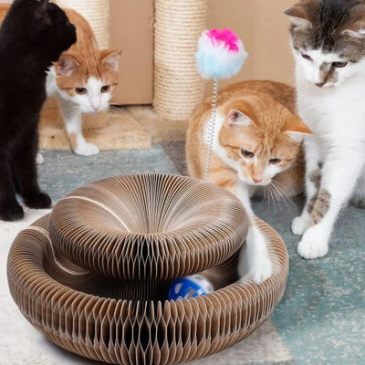 PetStory™ Katzenspielzeug