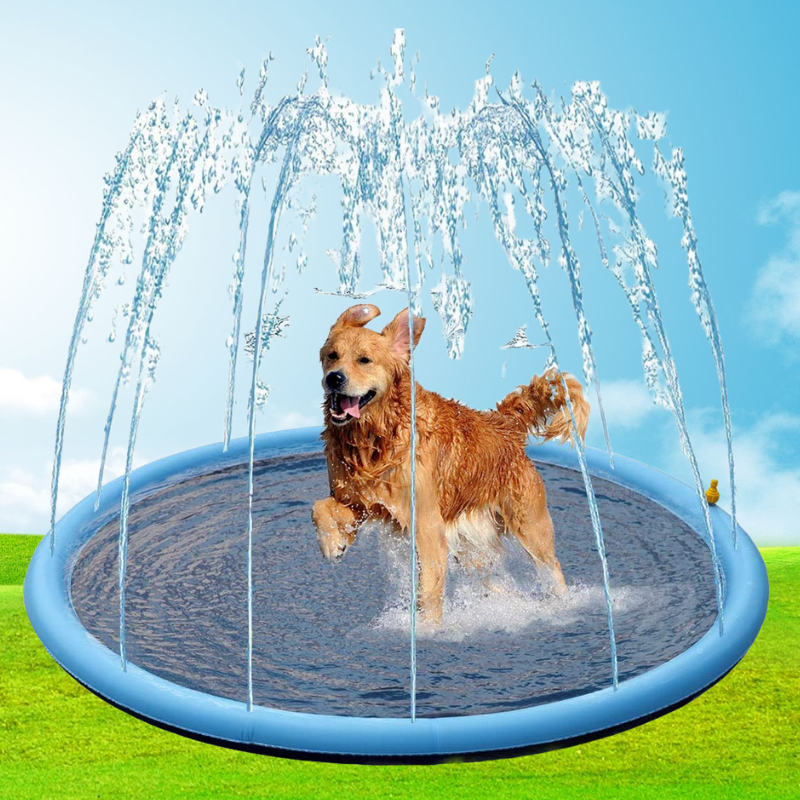 Watersplash™ für Hunde und Familie
