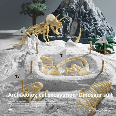 50% RABATT | Dinosaurier Fossilien Ausgrabungsset